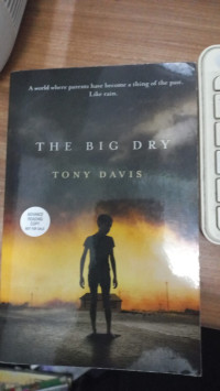 Image of The BIg Dry
