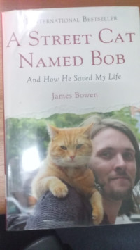 Image of A Street cat named bob