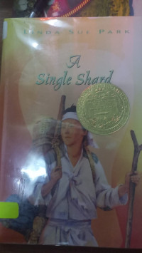 Image of A Single Shard