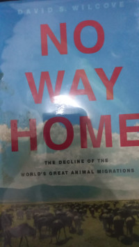 Image of No Way Home