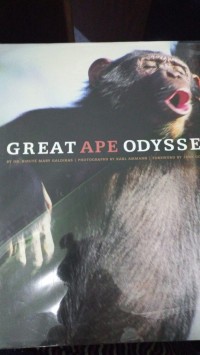 Image of Great Ape Odyssey