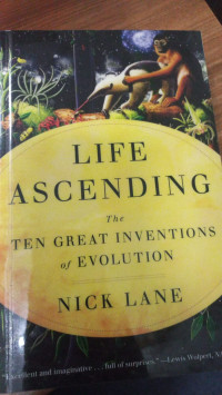 Image of Life Ascending