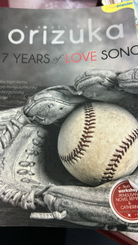 Image of 17 Years of love song