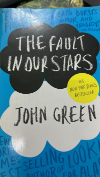 Image of The Fault In Our Stars